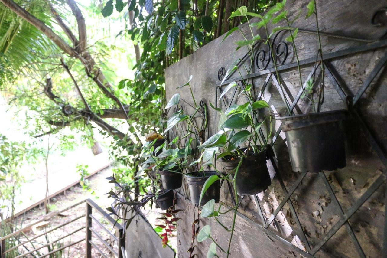Flamboyant Residence เฟอร์นันโด เด โนรอนญา ภายนอก รูปภาพ